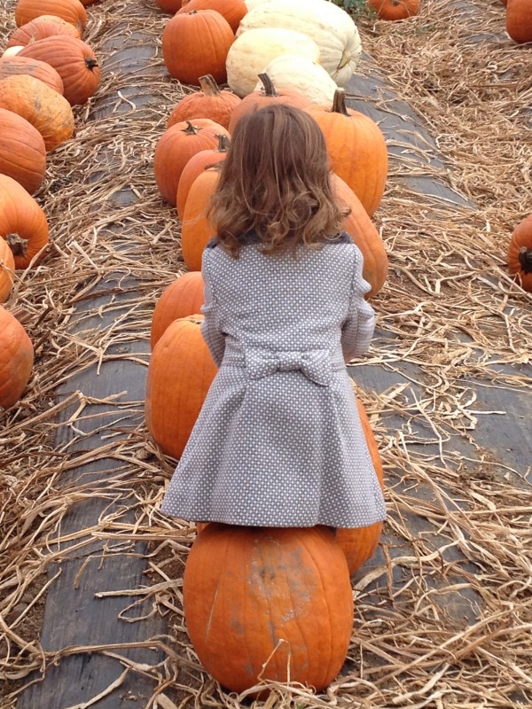 Pumpkin Patch