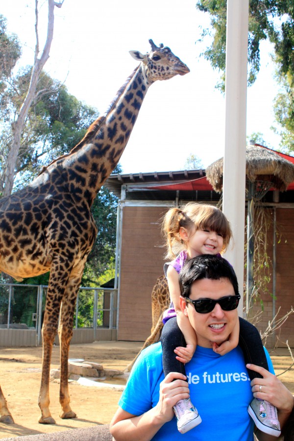 giraffe!