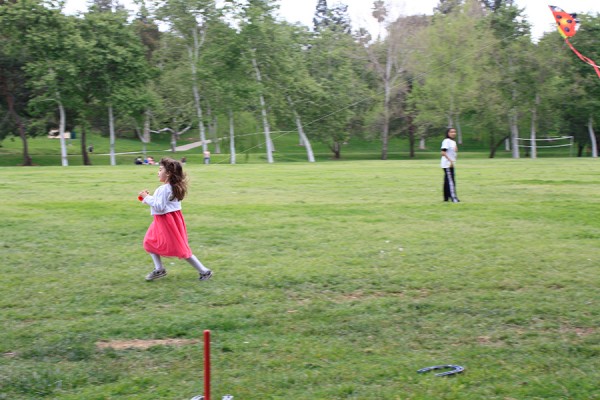 A kite master