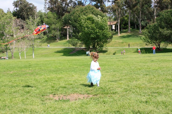 Olivia and the kite